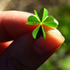 The Luck Badge