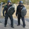 The Riot Badge II