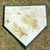 The Minor League Badge