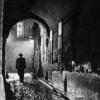 Vienna, after the war