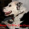Songs to Win You Over