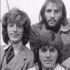 The Calm Before the Storm - The Bee Gees from 1964-1974