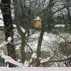Cabin Fever