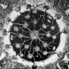 The World is Bound with Secret Knots