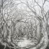 Hidden Dragons in the Wood