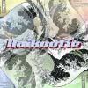 Haikootie