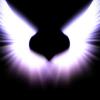 temper of an angel