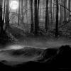 graveyard shift