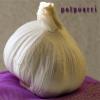 Potpourri: Hand-picked by the Human Sachet