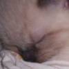 Me, the day I was born.  2/26/1983.