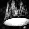 Wicker lamp